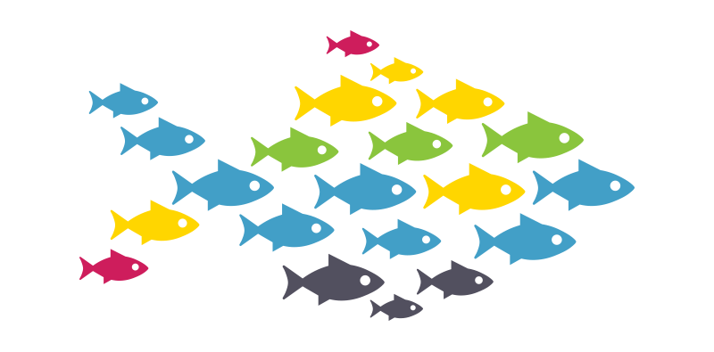 fish-team