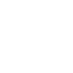 history-2006