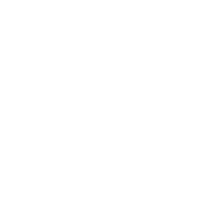 history-2022