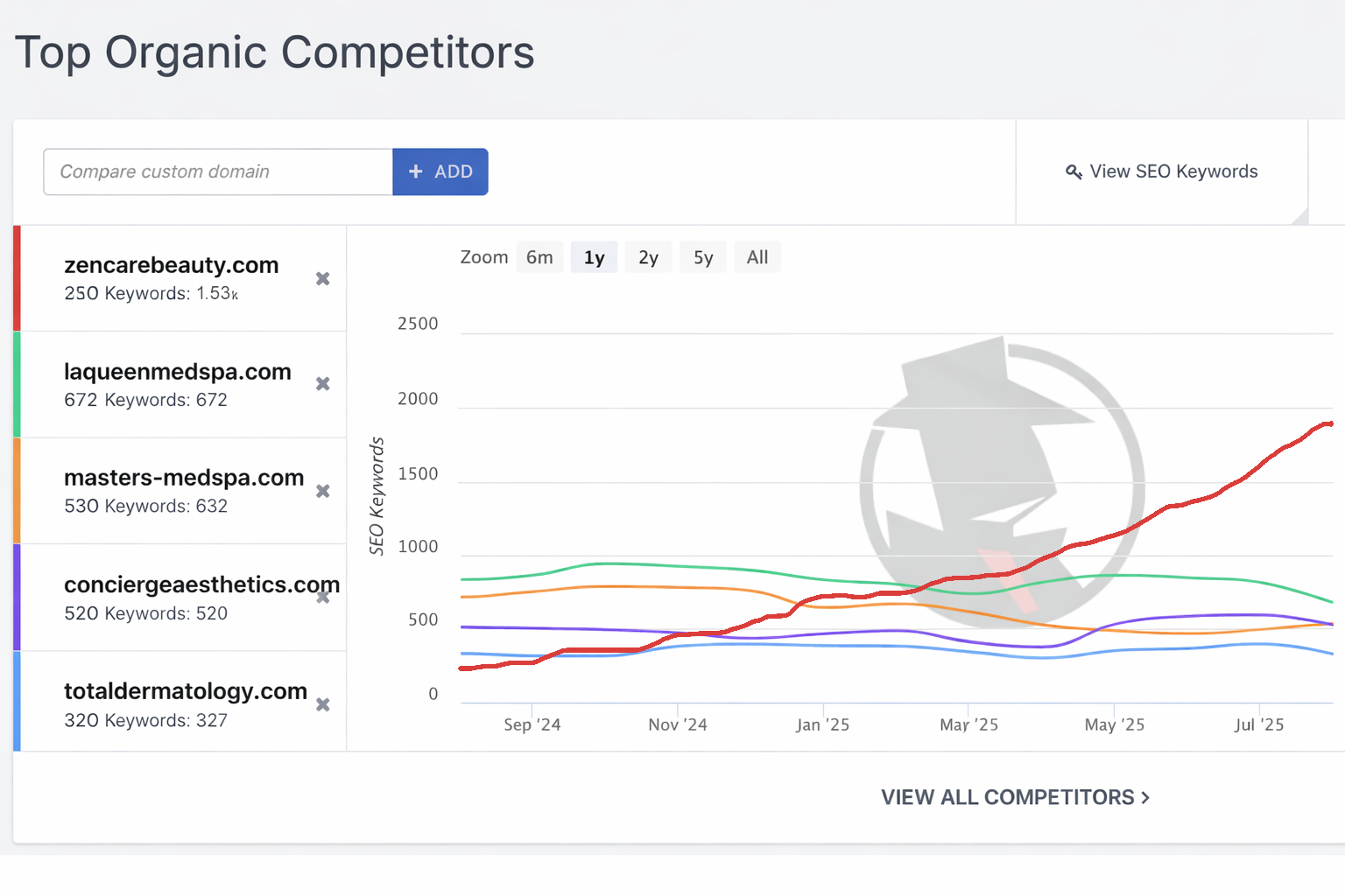 Digital Marketing for Med Spas - SEO and Google Ads